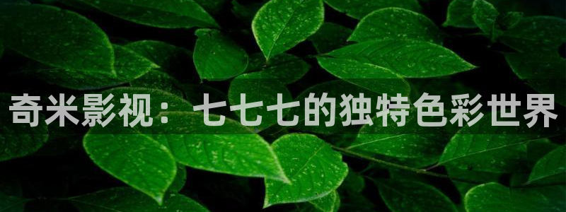 秋霞免费理伦片