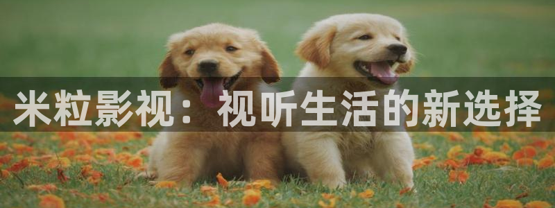 秋霞电影网av
