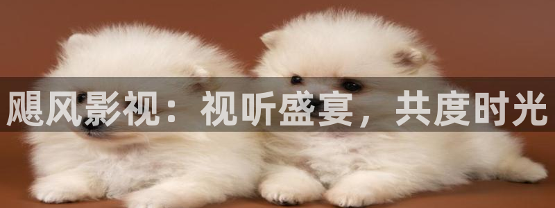 秋霞人伦电影