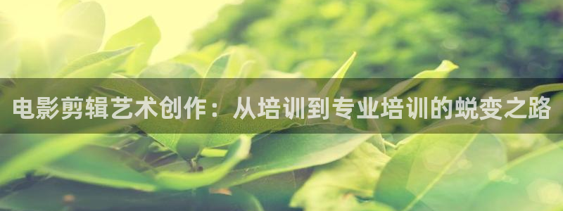 秋霞电影乱