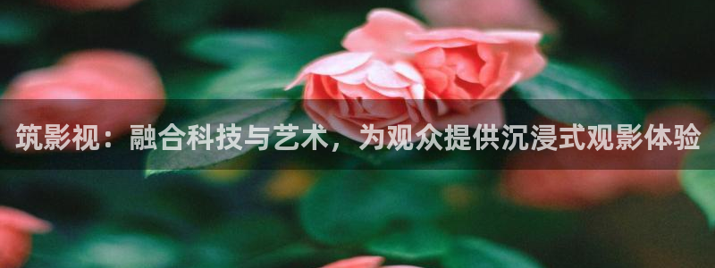秋霞电影网亚洲一区